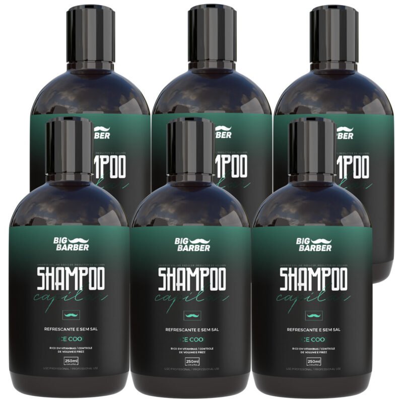 Shampoo Capilar Big Barber 250ml Ice Cool Caixa Com 6 Unidades